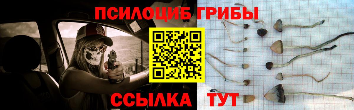 Кыштым  купить   Вход с VPN  Псилоцибиновые грибы мицелий  Псилоцибиновые грибы Psilocybine cubensis 